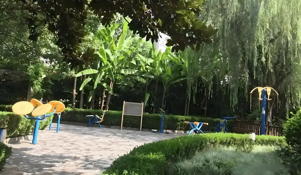 双面邪君野蛮妻